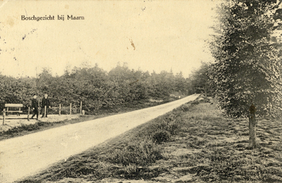 13621 Gezicht op een zandweg met gemengd bos te Maarn. N.B. De gemeente Maarn is per 1 januari 2006 opgenomen in de ...